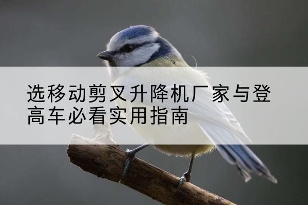 肥乡电动升降机厂家-选移动剪叉升降机厂家与登高车必看实用指南