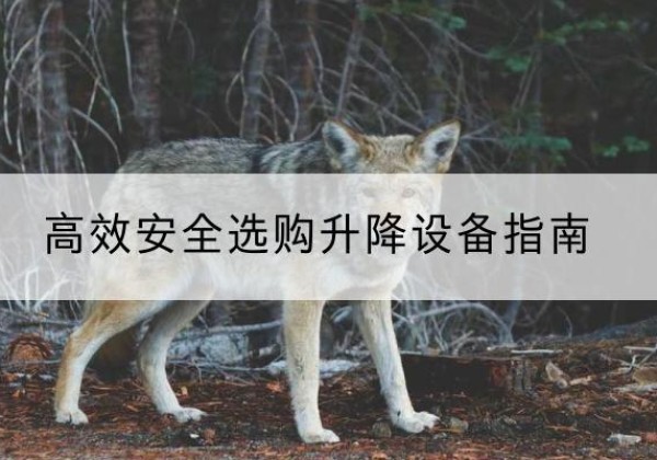肥乡升降货梯厂家推荐-*安全选购升降设备指南