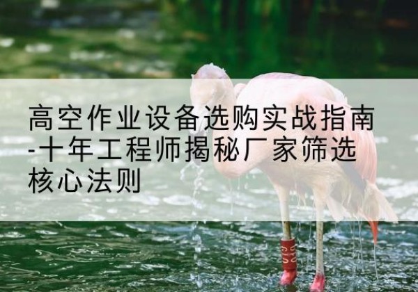 肥乡剪叉式升降机厂家-高空作业设备选购实战指南-十年工程师揭秘厂家筛选核心法则